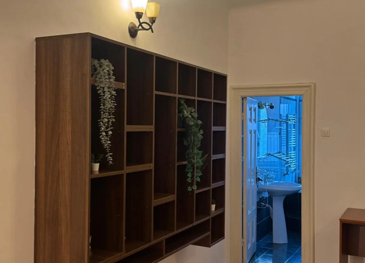 Apartment Romantic Bathtube Cismigiu Park 2 Room Apartament Bucharest