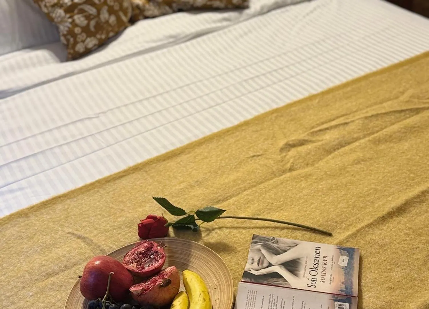 Romantic Bathtube Cismigiu Park 2 Room Apartament Bucharest