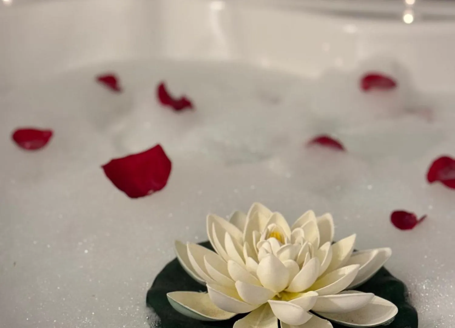 Romantic Bathtube Cismigiu Park 2 Room Apartament Bucharest 0*,  Romania